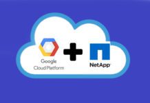 Google Cloud NetApp