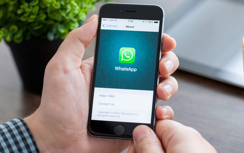 WhatsApp Group Audio Calls