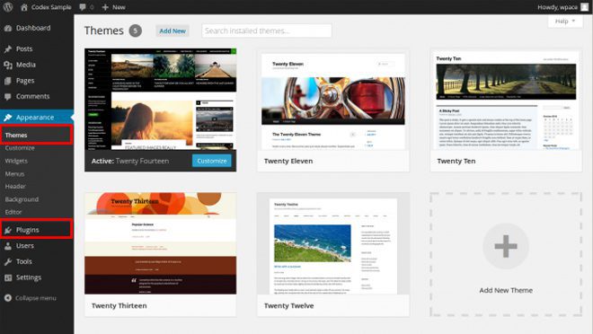 WordPress Theme and Plugins