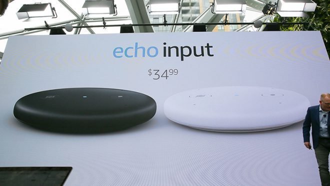 Echo Input