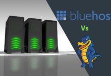 Bluehost OR Hostgator For Web Hosting