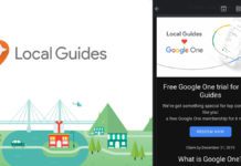 Google Local Guide Feature