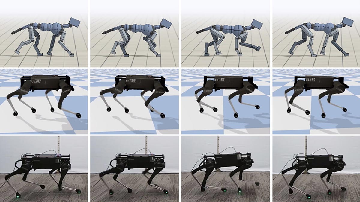 Google Robot Dog