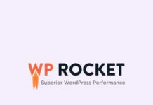 WP Rocket Plugin Settings